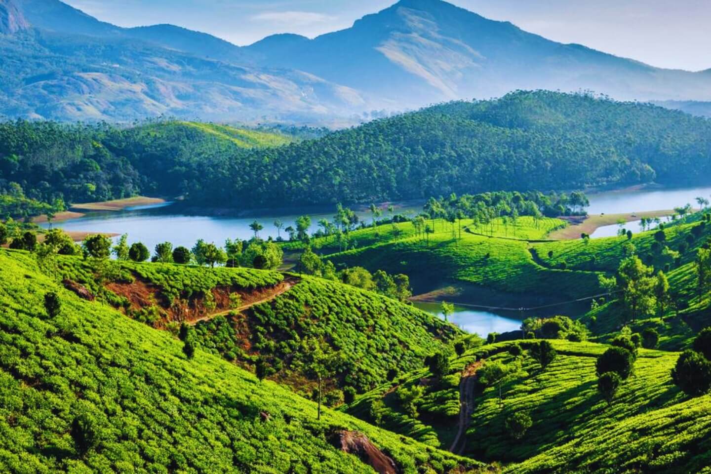 munnar